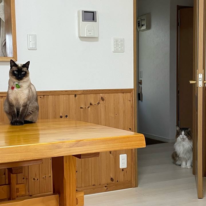 A858fbb8 254a 43b4 8143 2fc787422f75 1742766361301