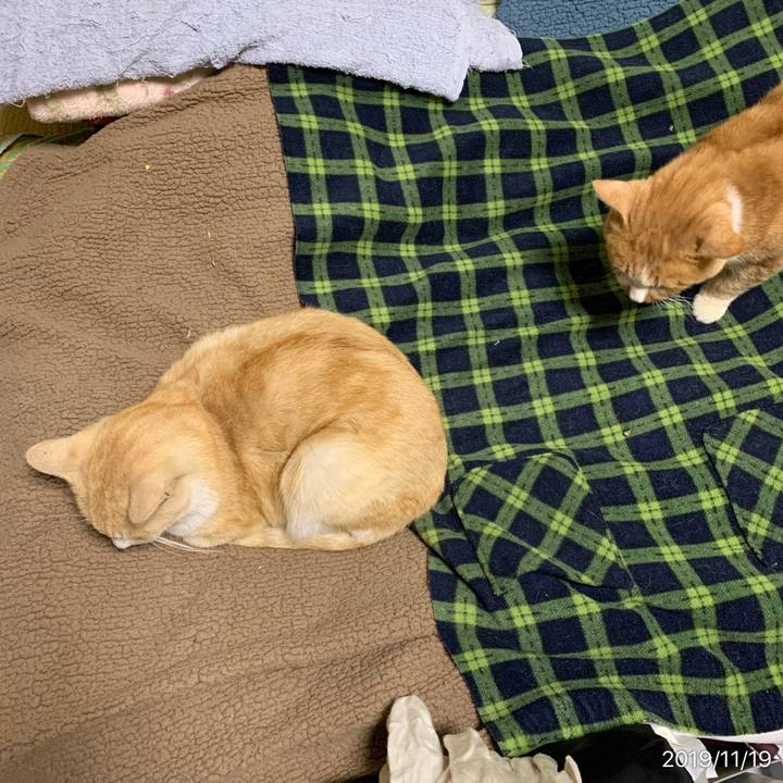 A8590311 9f03 47e9 809d 736b817b06f1 1574172078104