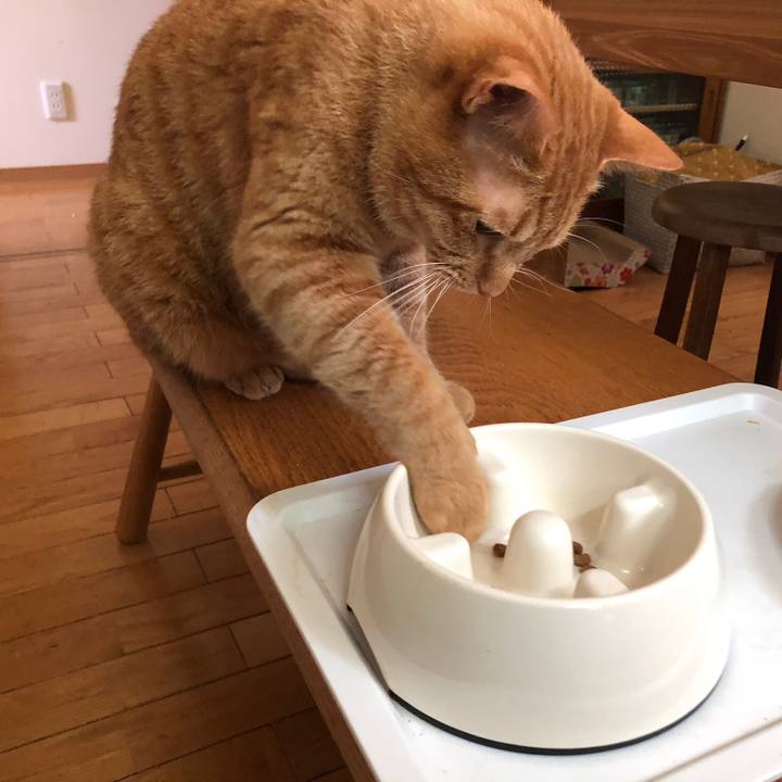 A85922e3 3b9b 47fa be6e 5937495ad245 1528539613708