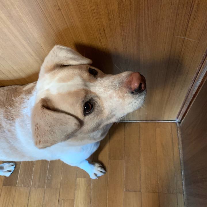 A8592b6c a82a 4453 8133 bd95f481ed8a 1547437792426