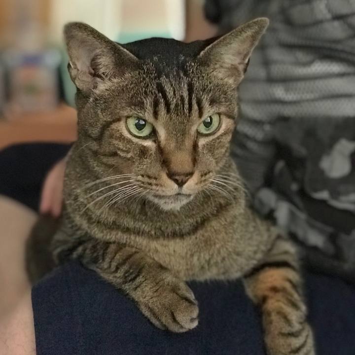 A859304e 282d 40c2 a8f7 8702a2a7d901 1536539844976