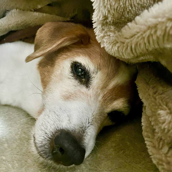 A8594558 2fb3 46f0 bcf7 4fe33fe6b965 1701869780715