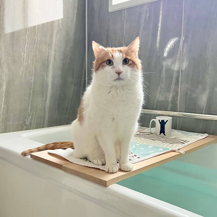 A8594dd3 3f57 41fe 9486 bed7ae8ece8a 1769993267010