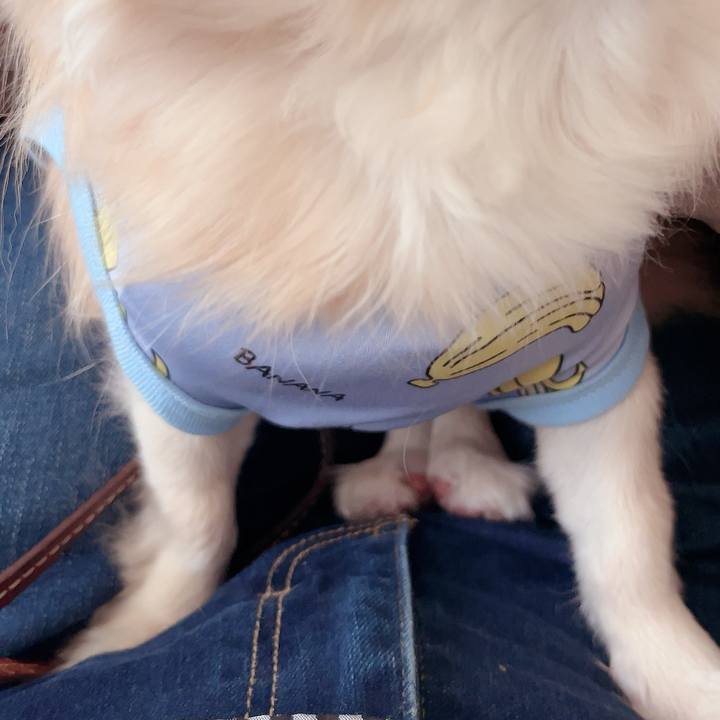 A8595887 c758 4dae 8c23 e805ef7ad4e0 1718685018576