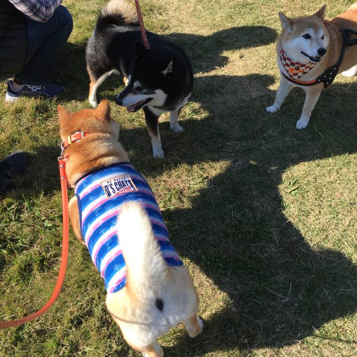 A85968d9 8133 4492 9d6b 006843e5e3f9 1573916855795