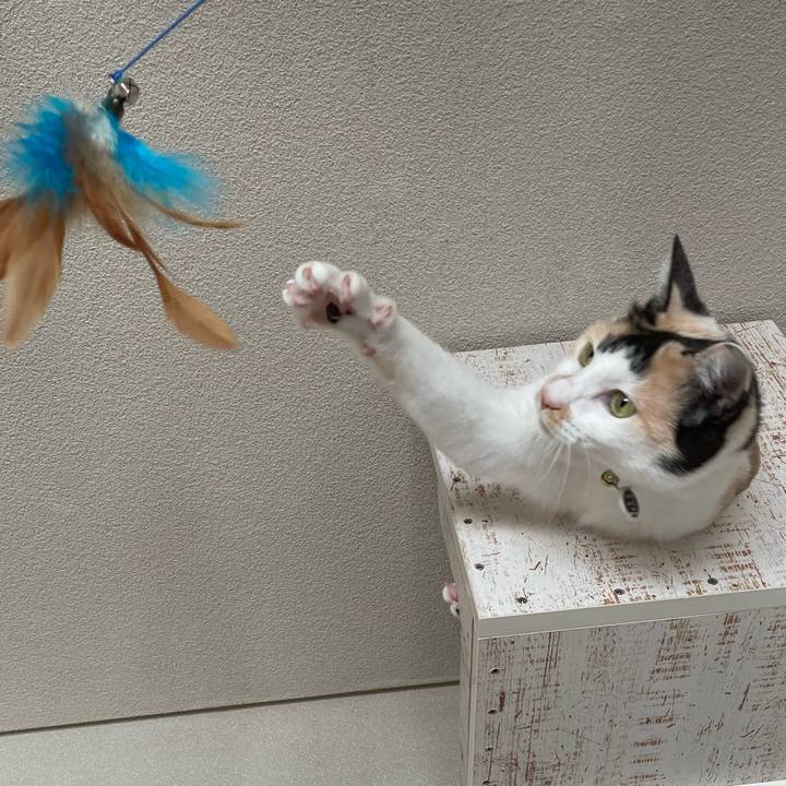 A8597dec eb99 4a69 8dcf 719cb115d075 1709001083454