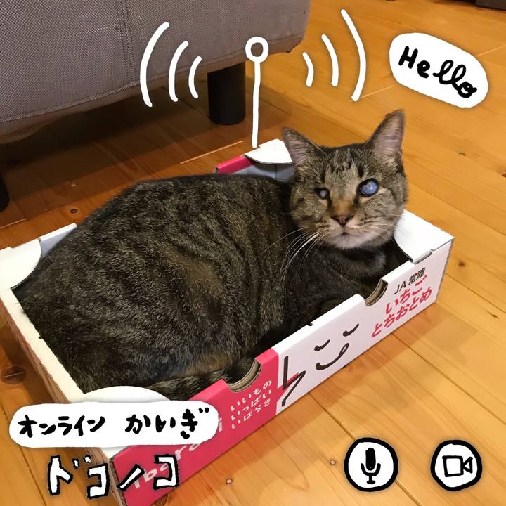 A85982f8 d876 4fd7 854b 7ff8de4bd4d4 1590712713000