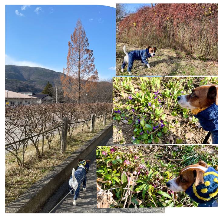 A859a061 e4e7 4520 8941 66a9662d941d 1648112073899