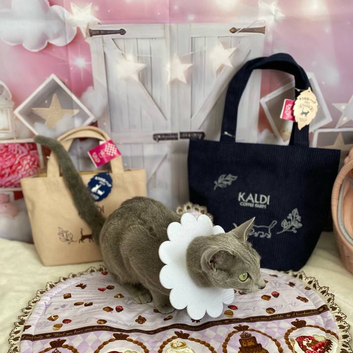 A859b890 1a9a 4f5f 93e1 c2b4499d6740 1677391262595