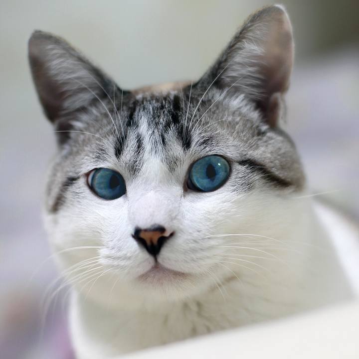 A859cc83 2173 4477 8090 3cf7761eb592 1643776000306