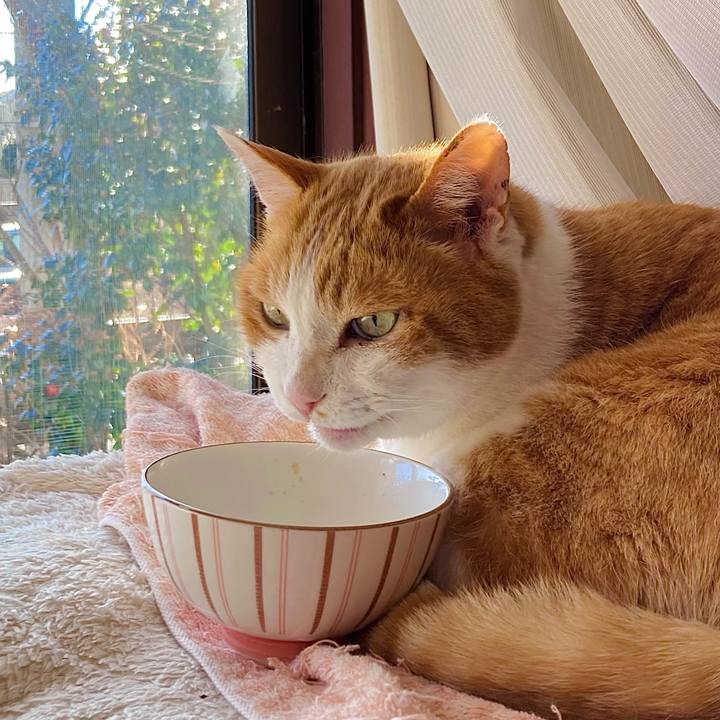 A859d304 c6e0 48a0 a67a 683df1c59726 1676874131677