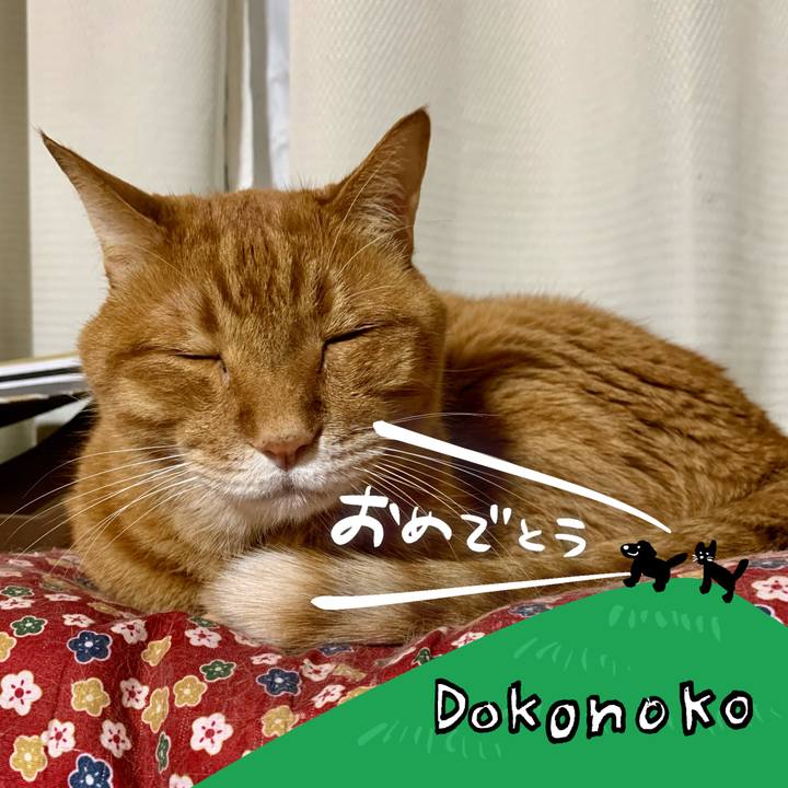 A85a3681 ba28 4722 be0e 8600f471c386 1685934888589