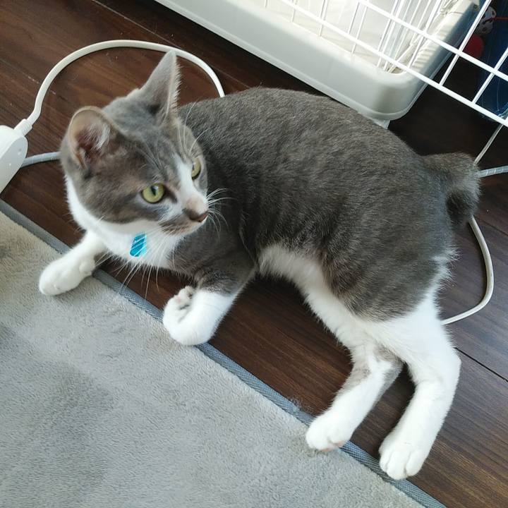 A85aac39 caad 4dfa a2c0 3bbf9cbfb341 1595194062677