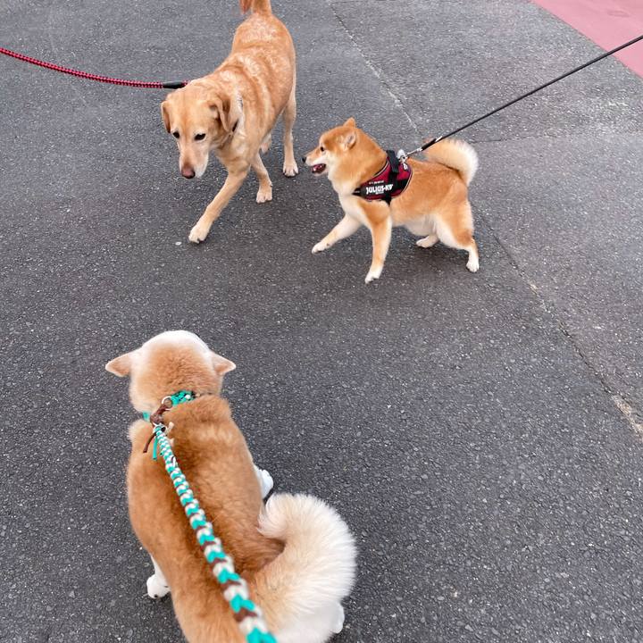 A85ad14e b84e 4567 b81c 7dc5d8ee19ca 1642492375253