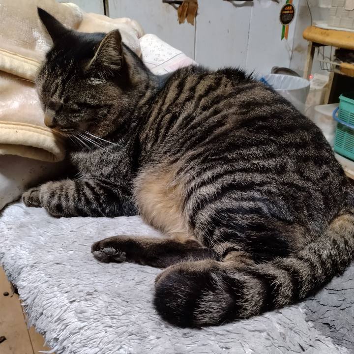 A85ad7b6 7288 4505 9265 75b64975f9c5 1671278657504