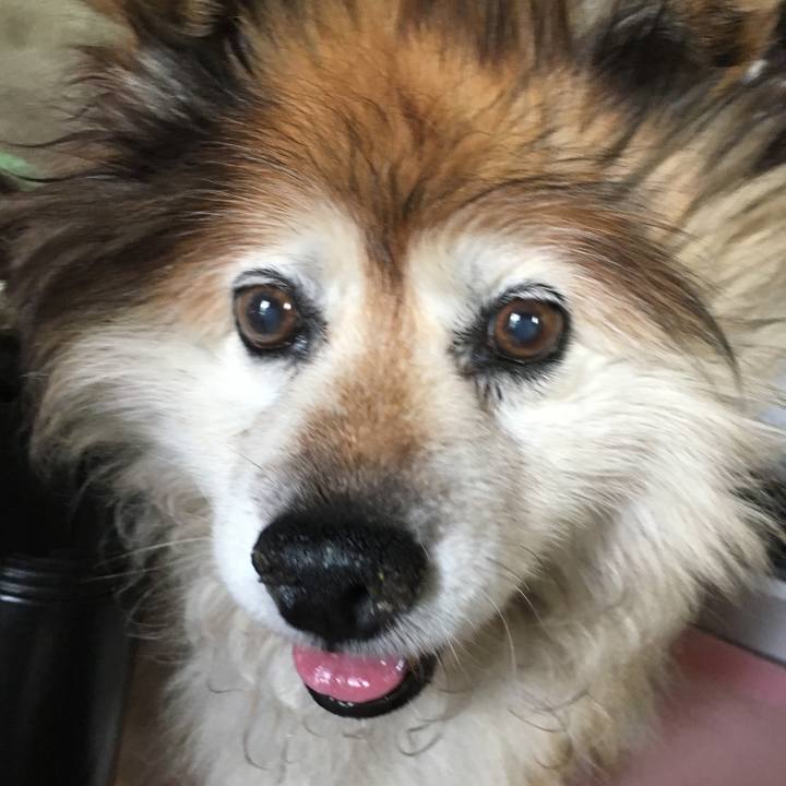 A85b2212 3bde 4323 a7d9 8838c28bbe65 1585096333014