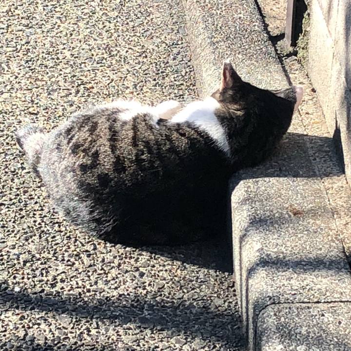 A85b5368 374b 48d5 b64e ac7a0c187869 1534672455358