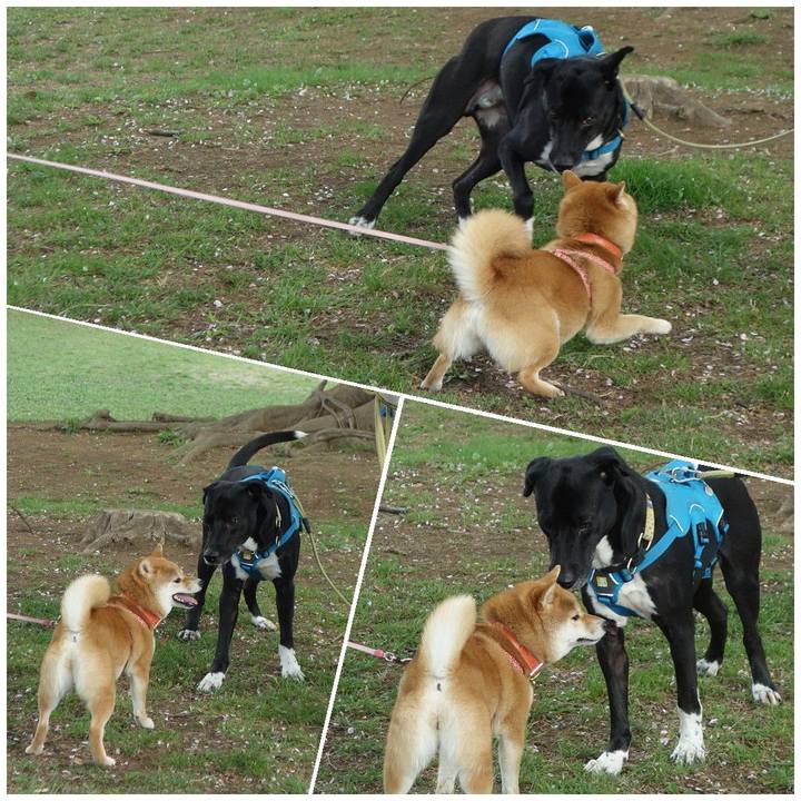 A85b6ae8 86fa 484e 9b37 35a99d3142d9 1617497821286