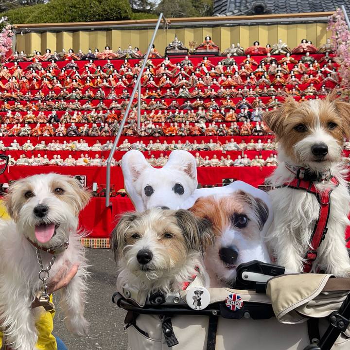 A85b803f 582a 4c6f 9008 b92d30490bbe 1771920819192