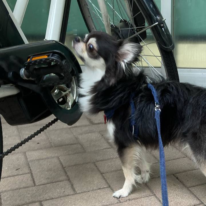 A85ba4e2 c60e 49e1 9947 46fcd7adf9f0 1662212405530