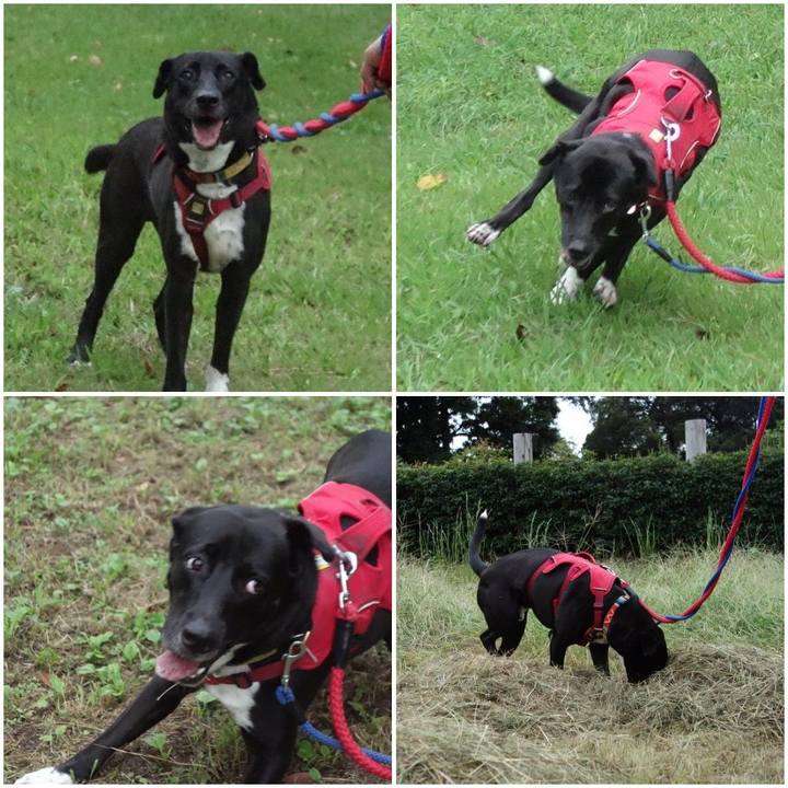 A85bc049 92d3 4a21 9751 b196f659db8c 1600472163766