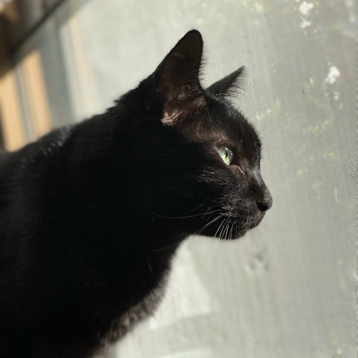 A85bd19d 7913 4eed 8285 55ecae5421cd 1635470701231