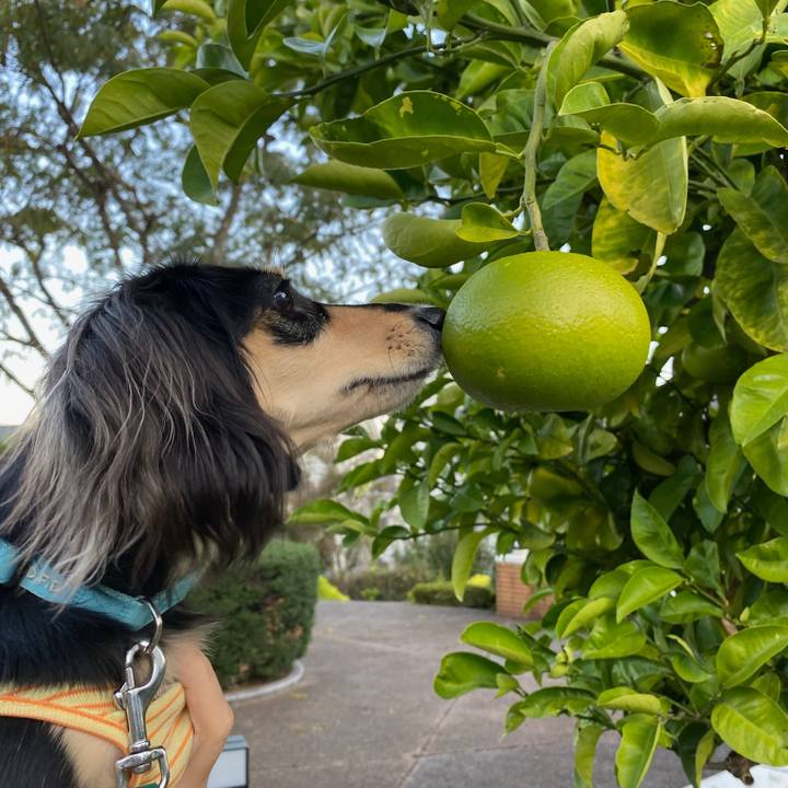 A85bdd69 07f6 4f3b b12b 18cdb5babc4d 1698386213823