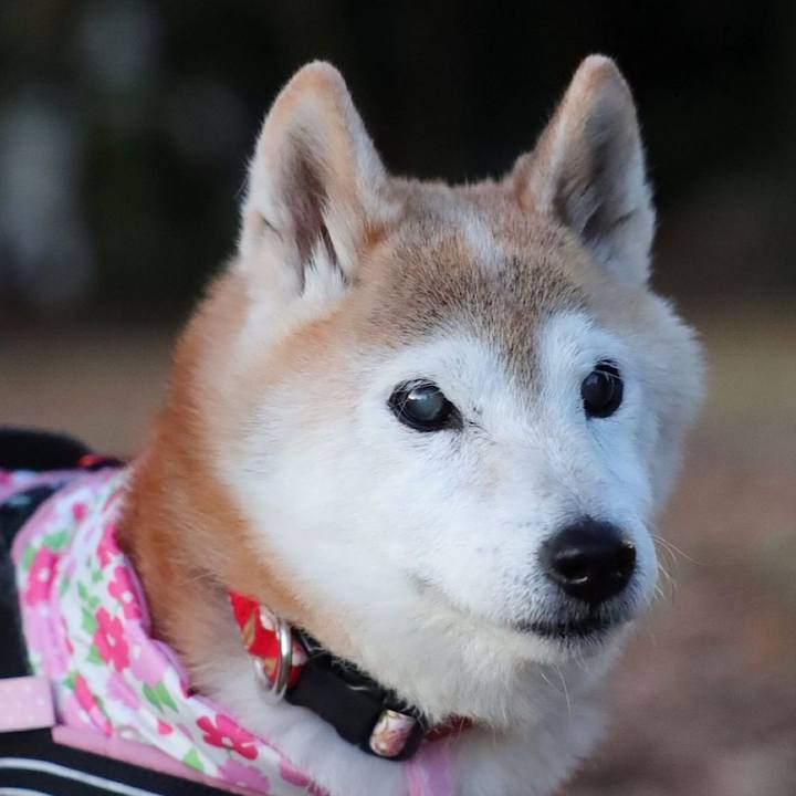 A85c0343 cb90 48fd 8d3c bc23510a9ae7 1721365600589