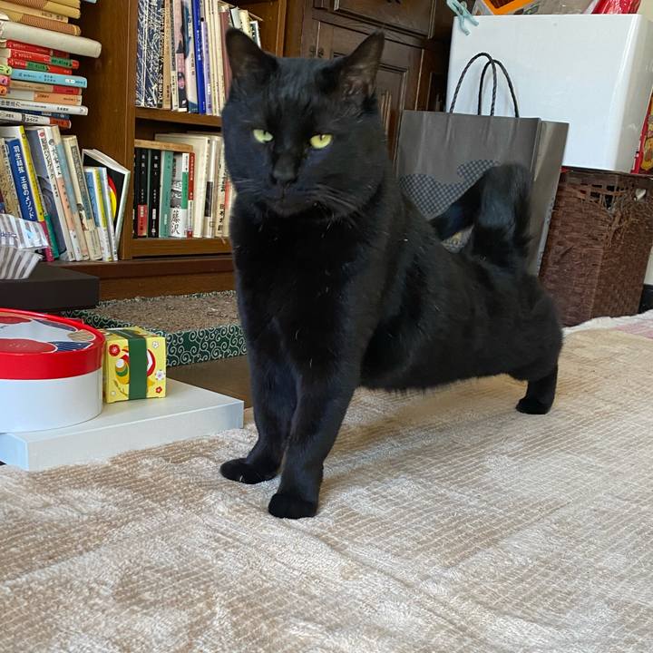 A85c0a32 1d6d 4125 8b5f bb3e239a0880 1673442257761