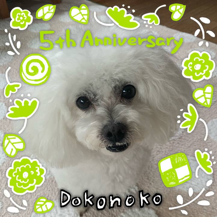 A85c2b91 a602 4ede 8bab b684efd5dfd5 1622960002873