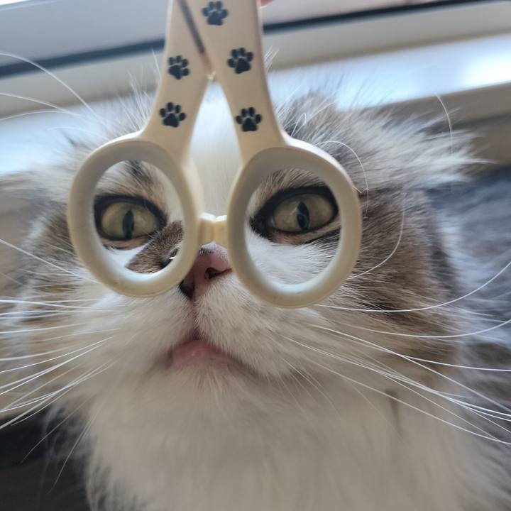 A85cb273 2828 4bab a793 c7bba3ee0238 1759221629933