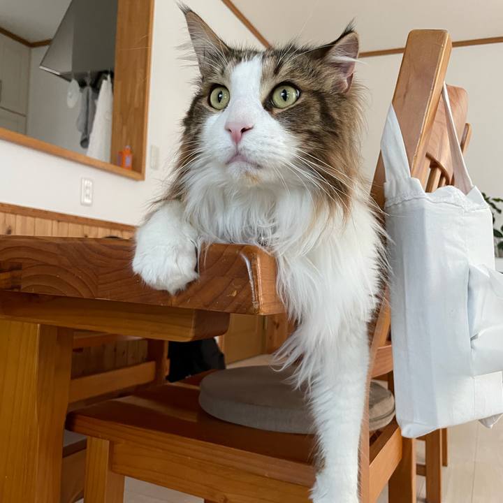 A85ccd9a 06fb 4a17 b68a 4825f8d6c687 1678915852348