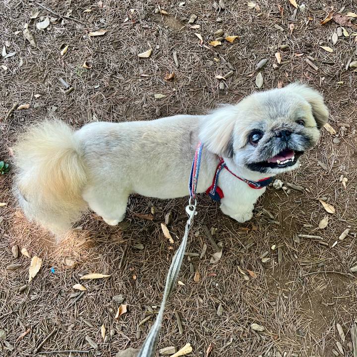 A85d1694 d6b5 4479 858a 7b667085157f 1753391209608