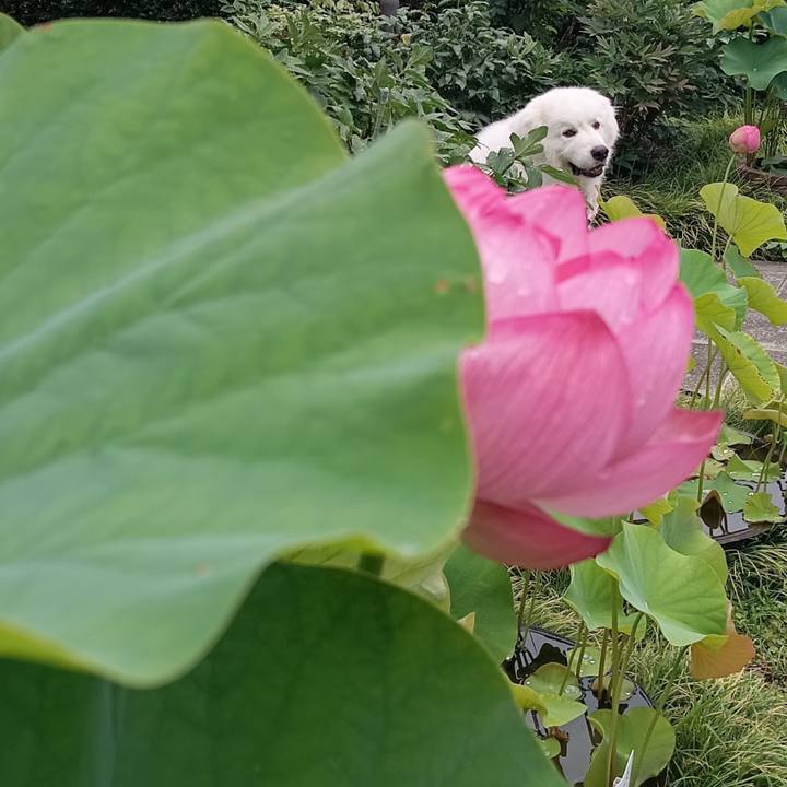 A85d1778 d1f3 4830 a45f 729c871bd5aa 1719131734648