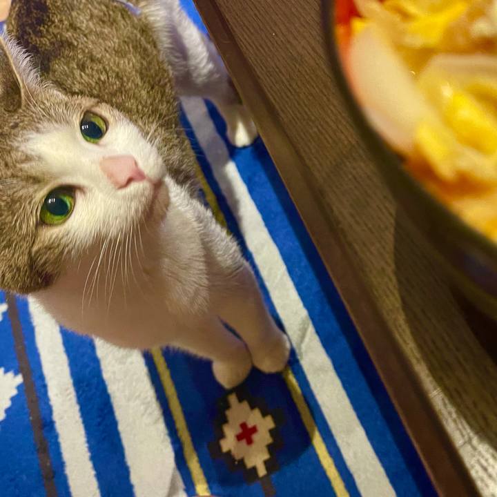 A85d4419 8451 4c56 98bd cef64f569bbf 1628855463963