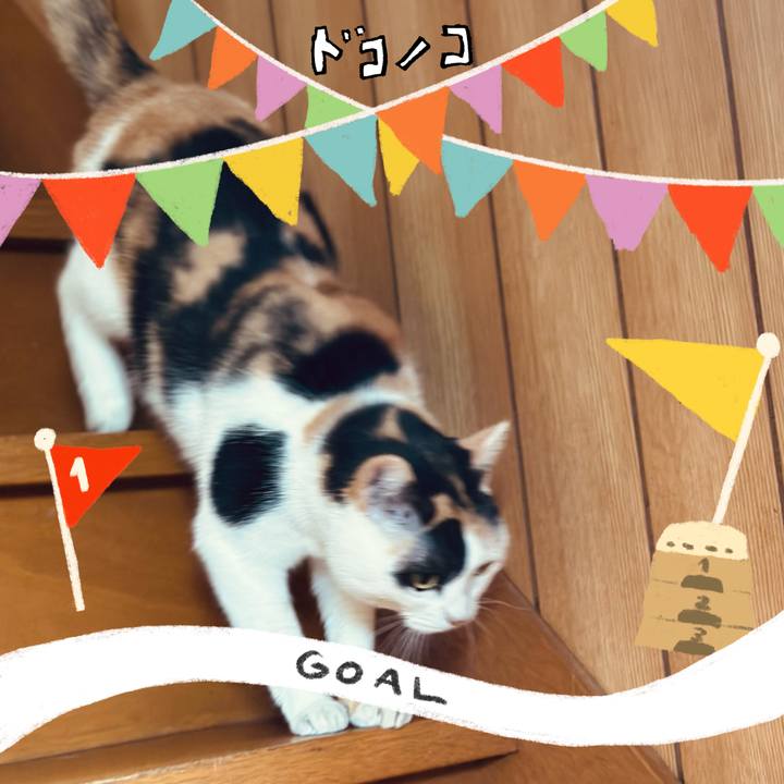 A85d4f74 0f5d 4729 b651 a9ee1cc4e429 1729385858374