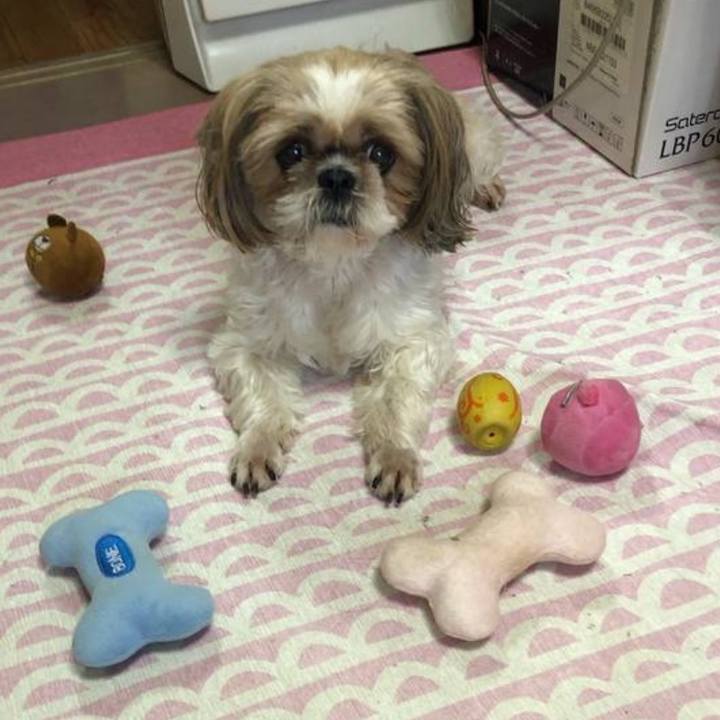 A85d71ae 3eb2 4d6f 902f ed8430e715b0 1763281753367