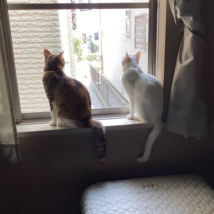 A85de11e 50d3 4a3b b529 2547316f9f3b 1649298007142