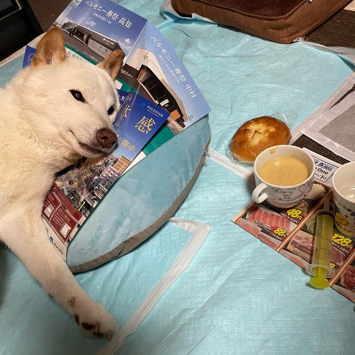 A85de19b e40e 495d b90a 0375f5cd8b24 1653665685863