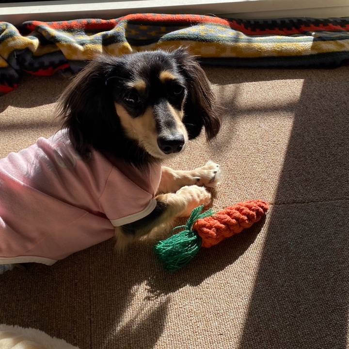 A85df811 f364 45ff 94c3 bf4915ab4ea9 1701497957997