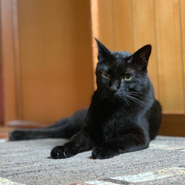 A85e03dc f732 40e4 a308 8bb7013f2cbc 1564185021258