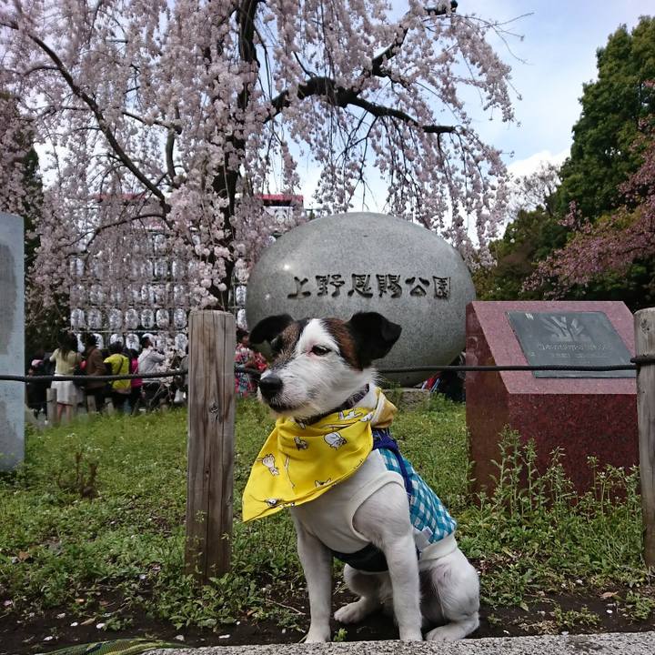 A85e18ab 7a7c 4185 be60 7997aeac5744 1521870391773