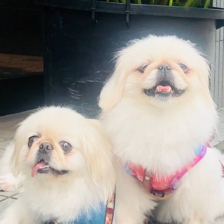 A85e30b2 8582 4ca4 a4af 85eb9dd51ffd 1563398768603