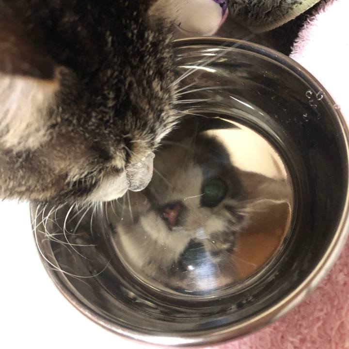 A85e6a40 d437 4e21 a0bc c68fab82d3b1 1622496102077