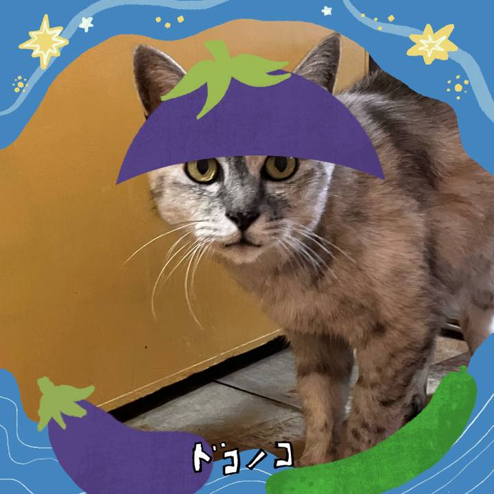 A85e88d2 32a7 448b 953a 4db8fb049e02 1755064637652