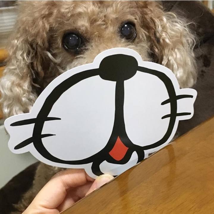 A85e991a ef28 45df bb95 2ecf4ffd39f1 1589683862727