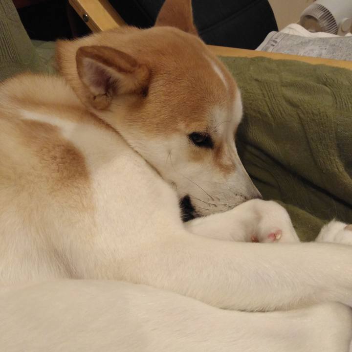 A85eb040 45e6 41fc 8d91 9ee0501c6565 1529493510313