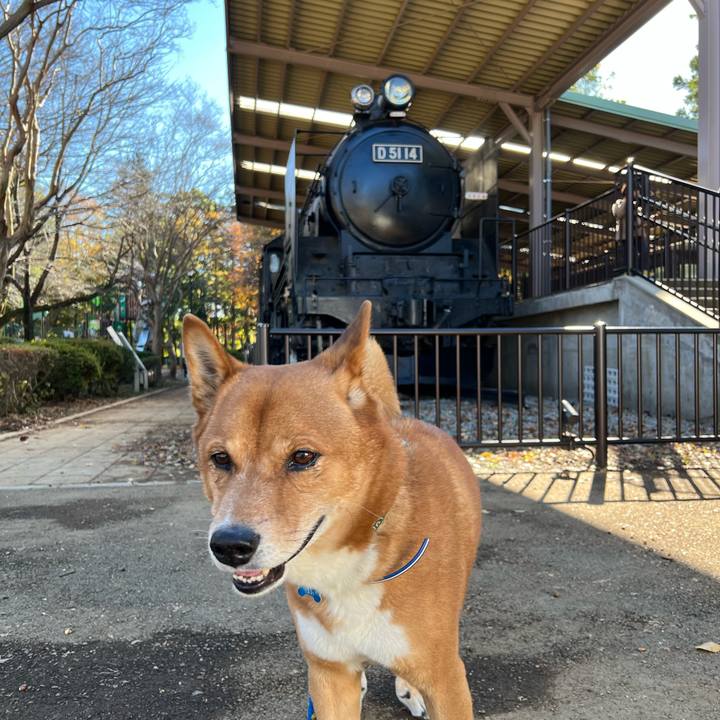 A85ed6a5 31e4 43ac 85f5 4d34b8bd77d1 1669522153743