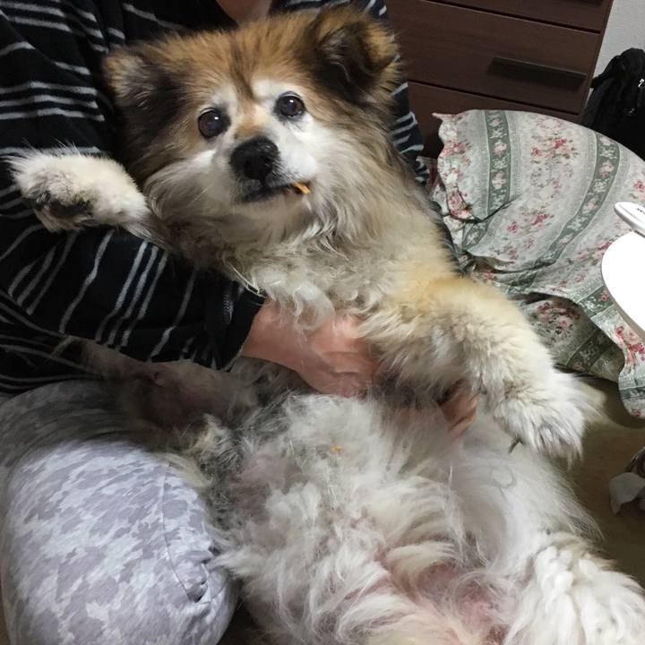 A85ef135 0cc1 4205 b450 d0693b41d44a 1552304379452