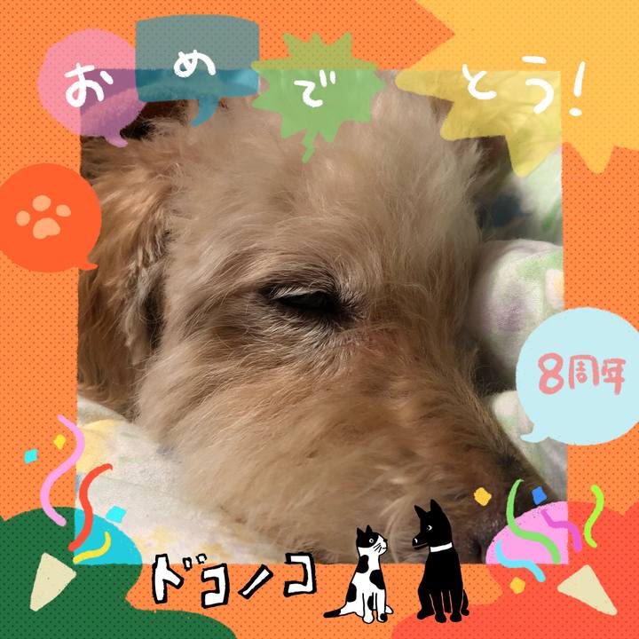 A85ef527 bd1a 4cbb 96d7 12da5dcb6636 1717685870024